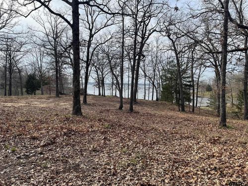 Lake Fork Lot Indian Gap, Quitman, TX, 75783 | Card Image