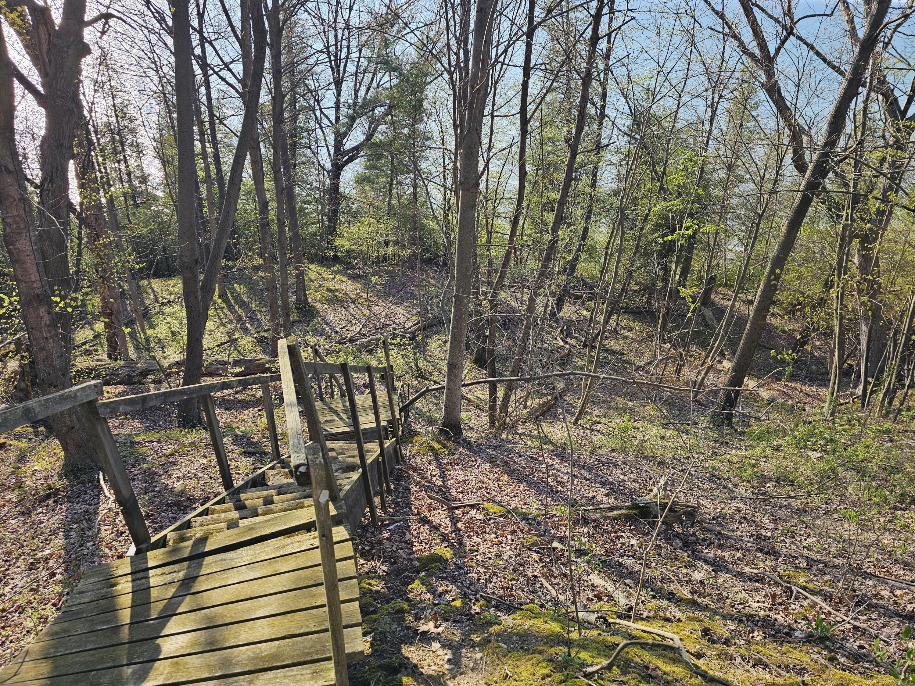 Land in Benton Harbor 2