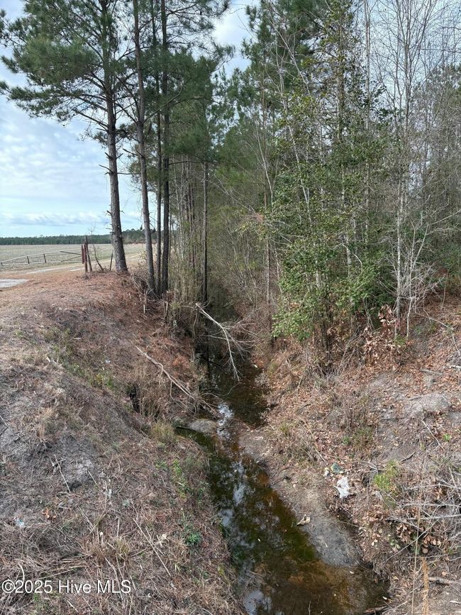 476 Dothan Road, Home with 0 bedrooms, 0 bathrooms and null parking in Tabor City NC | Image 9