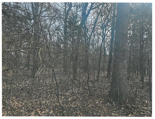 000 Pomme De Terre Rd, Branson, MO, 65616 | Card Image