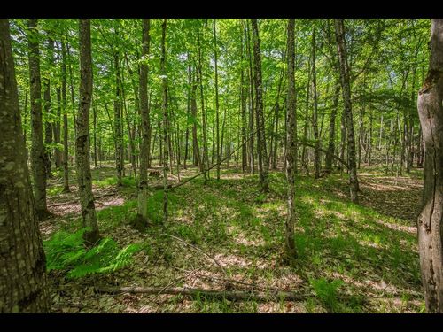 Lot 23 Bonita Pt, Eagle River, WI, 54521 | Card Image