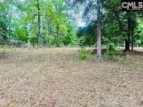 1172 Lake Drive, Leesville, SC, 29070 | Card Image