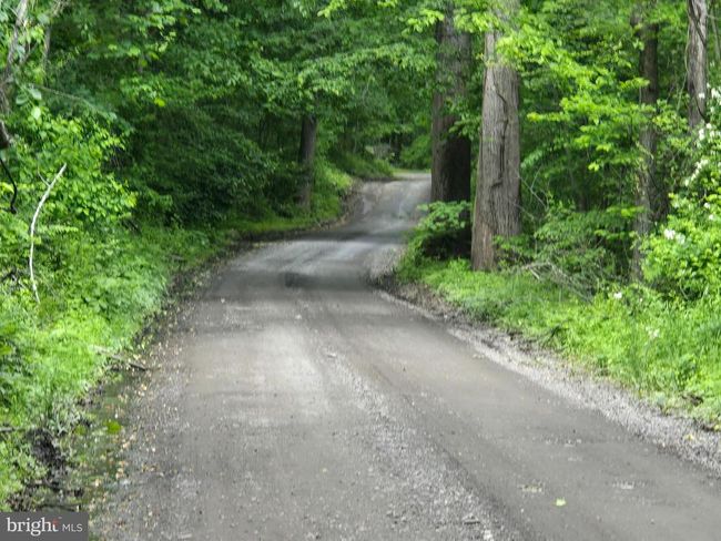 4127 Hardscrabble Rd, Home with 0 bedrooms, 0 bathrooms and null parking in Linden VA | Image 13