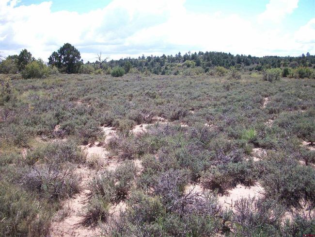 13989 Road 35.6, Home with 0 bedrooms, 0 bathrooms and null parking in Mancos CO | Image 33