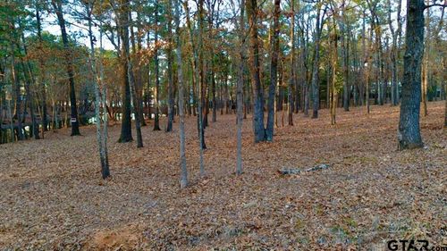 TBD Hickory Trl, Flint, TX, 75762 | Card Image