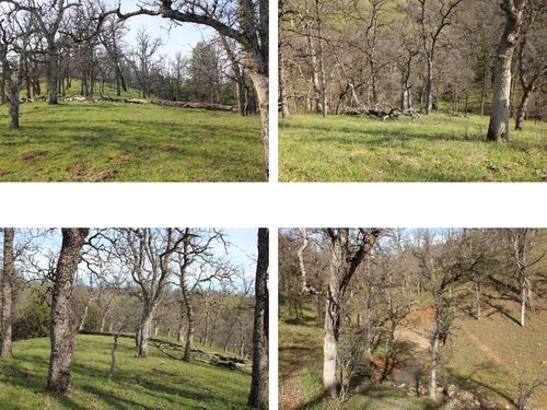 11500 Cool Spring Ct, Red Bluff, CA, 96080 | Card Image