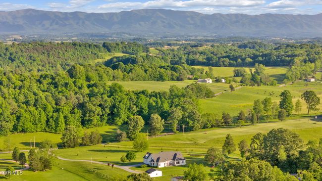 1905 Martin Rd, House other with 5 bedrooms, 5 bathrooms and null parking in Limestone TN | Image 96