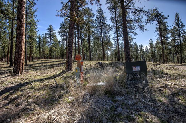 31760 Old Highway 10 W, Home with 0 bedrooms, 0 bathrooms and null parking in Alberton MT | Image 42