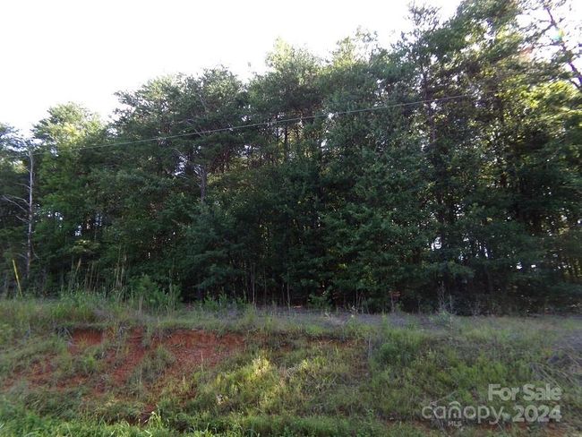 Wooded View from State Line Rd | Image 4