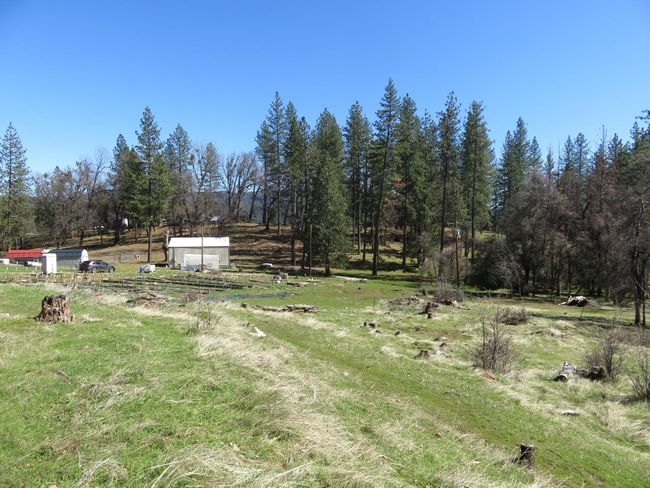 4196 Bald Mountain Rd, Home with 0 bedrooms, 0 bathrooms and null parking in West Point CA | Image 12