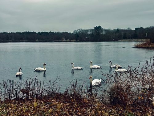 unit-306-7 Assinippi Ave, Norwell, MA, 02061-2443 | Card Image