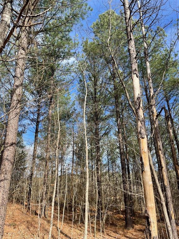 Land in Broken Bow 5