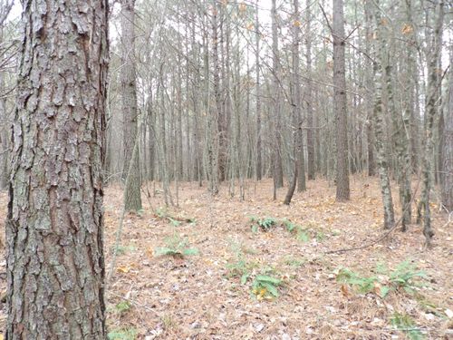 21 Summer City Rd, Evensville, TN, 37332 | Card Image