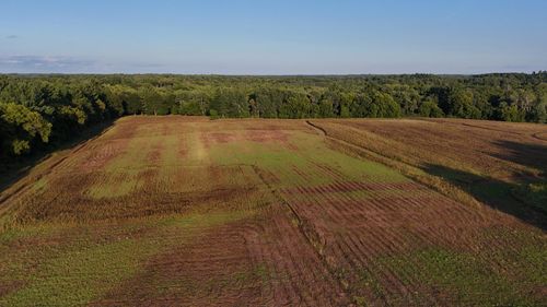 37 Verdin St Nw, Stanchfield, MN, 55080 | Card Image