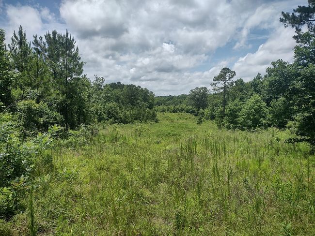 1100 Sapp Rd, House other with 3 bedrooms, 3 bathrooms and 3 parking in Dry Branch GA | Image 15