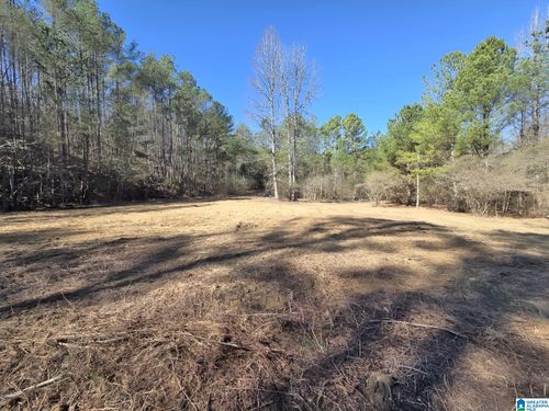0-1615 Blanton Rd, PARRISH, AL, 35580-4439 | Card Image