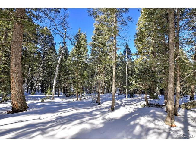 810 Ridge Rd, Home with 0 bedrooms, 0 bathrooms and null parking in Divide CO | Image 7