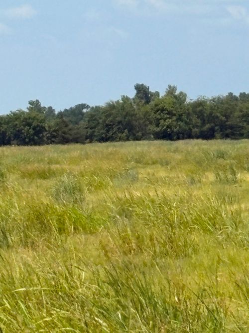 TBD County Road 3020, Bonham, TX, 75418 | Card Image