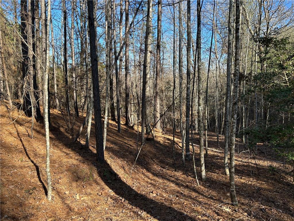 Land in Demorest 4