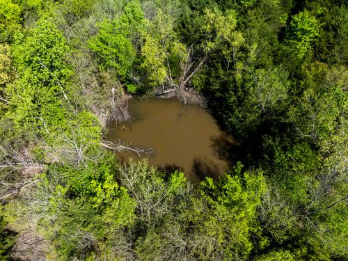 Hwy 34 Private Road 4521, Wolfe City, TX, 75496 | Card Image