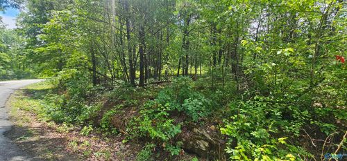 3 +/- Acres County Road 106, Mentone, AL, 35984 | Card Image