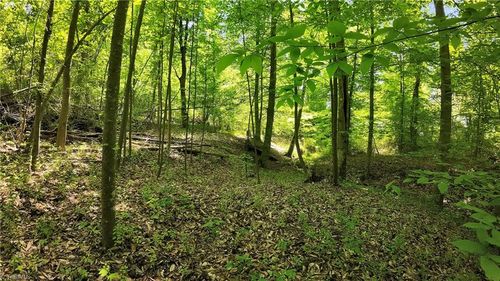 TBD Factory St, Ronda, NC, 28670 | Card Image