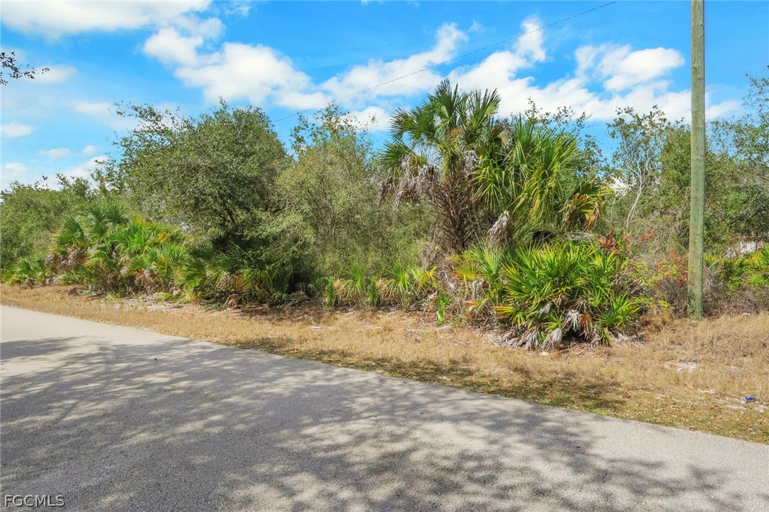 Land in Lehigh Acres 4