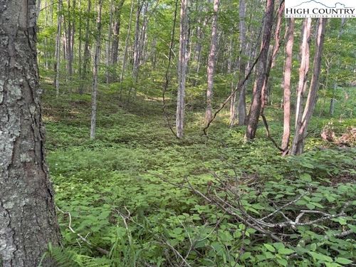 58 Beechwood Cir, Creston, NC, 28615 | Card Image