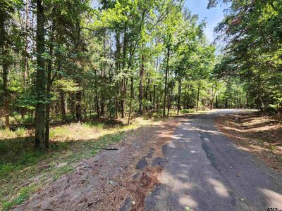 Lot 37 Whipporwill Lane, Home with 0 bedrooms, 0 bathrooms and null parking in Mt Vernon TX | Image 2