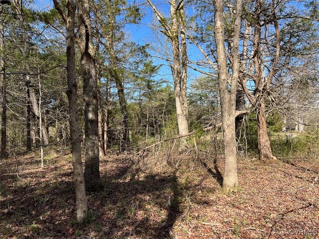 View of local wilderness with a wooded view | Image 15