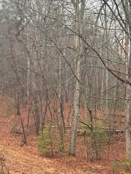 18 Bacham, Crossville, TN, 385558 | Card Image