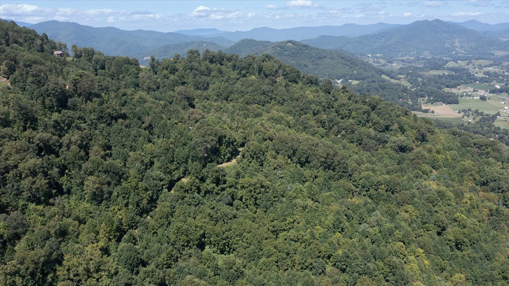 Land in Waynesville 5