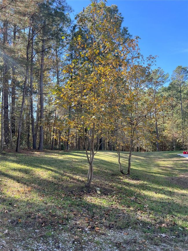 2 - 1142 Fletcher, House other with 3 bedrooms, 4 bathrooms and 3 parking in Anderson TX | Image 20