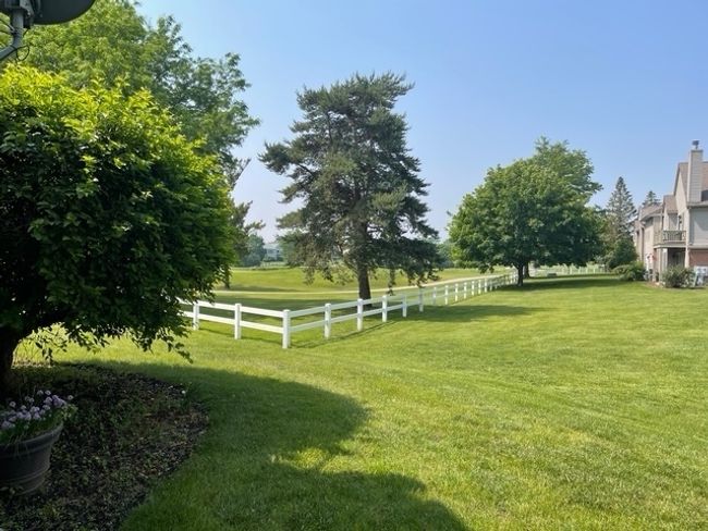 View from the Porch | Image 26