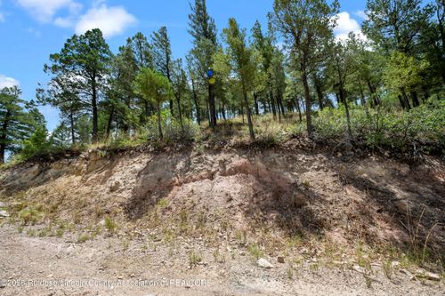 109 Quail Dr, Ruidoso Downs, NM, 88346 | Card Image