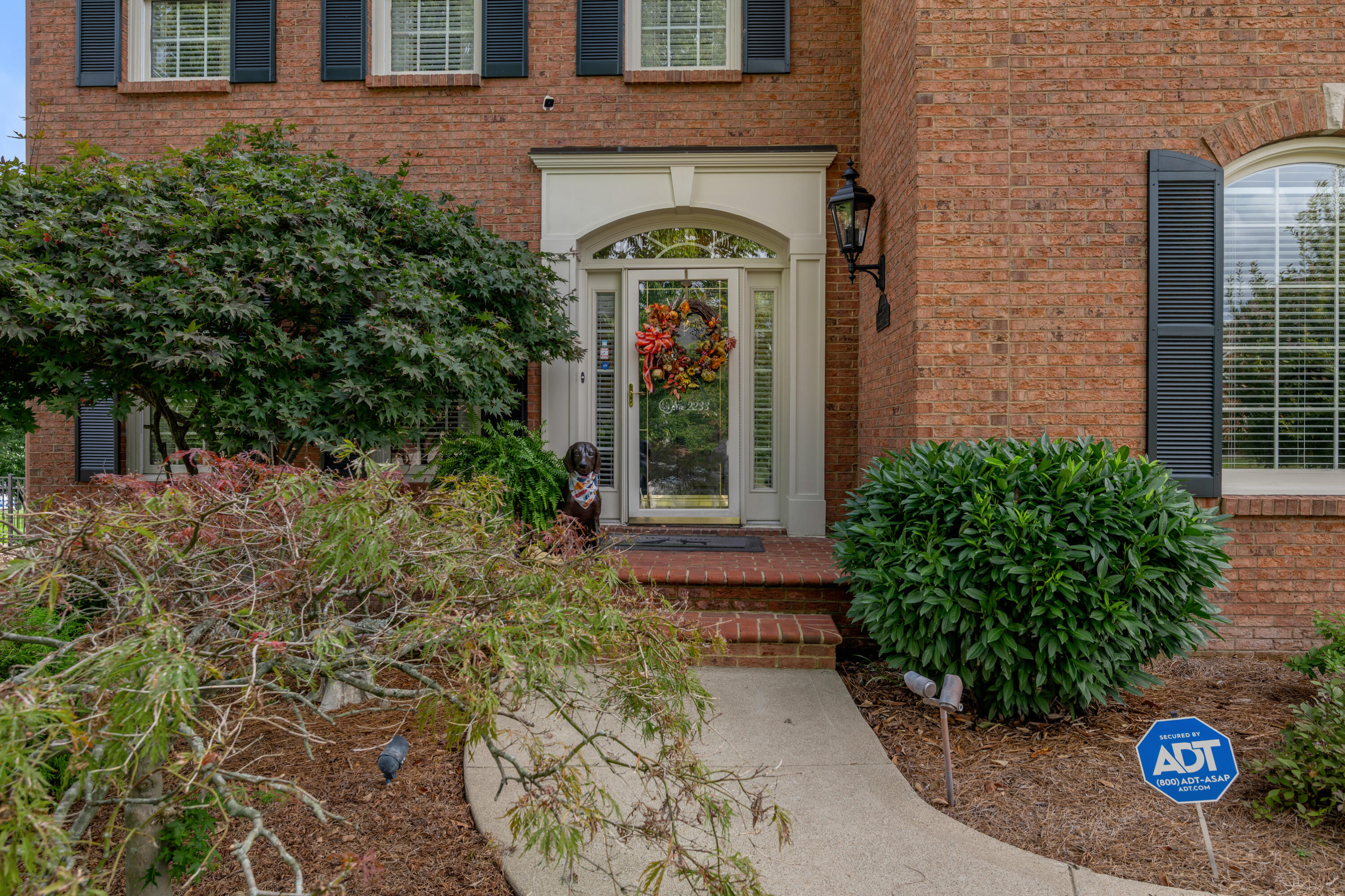 Residential in Lexington 5
