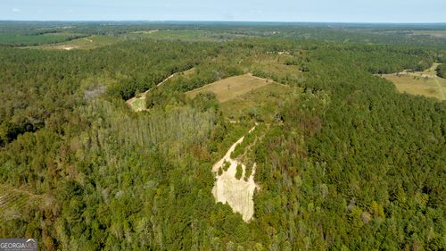 0 Poole Road, Ellaville, GA, 31806 | Card Image