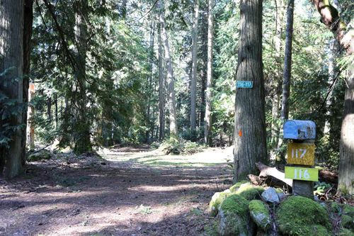 101 Mapleleaf Lane, Sidney Island, BC, V0N2G0 | Card Image