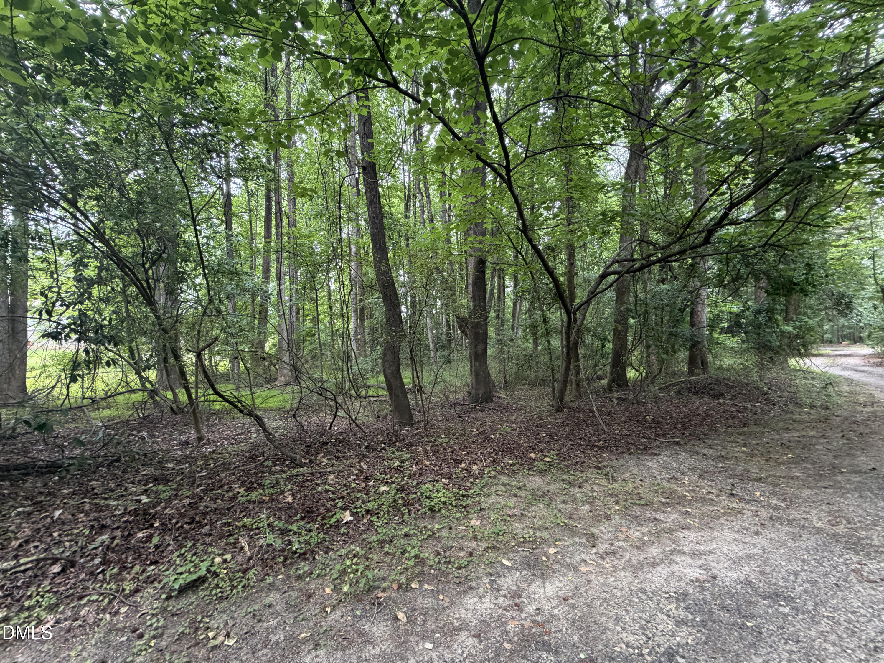 Land in Holly Springs 5