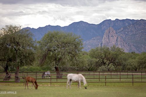 3155 W Elephant Head Rd, Amado, AZ, 85645 | Card Image