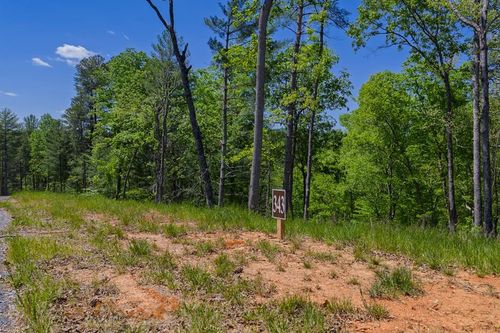 Lot 343 Shallow Branch Drive, Talking Rock, GA, 30175 | Card Image