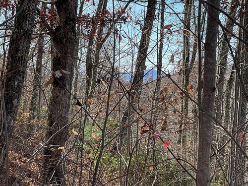 Lots Branch View Ln, Hayesville, NC, 28904 | Card Image