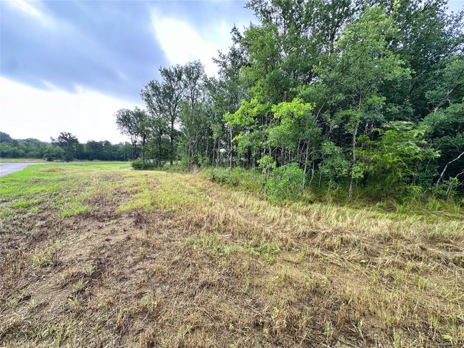 Lot 6 & TBD BTSLP# Emerald Lane, Home with 0 bedrooms, 0 bathrooms and null parking in Corsicana TX | Image 28
