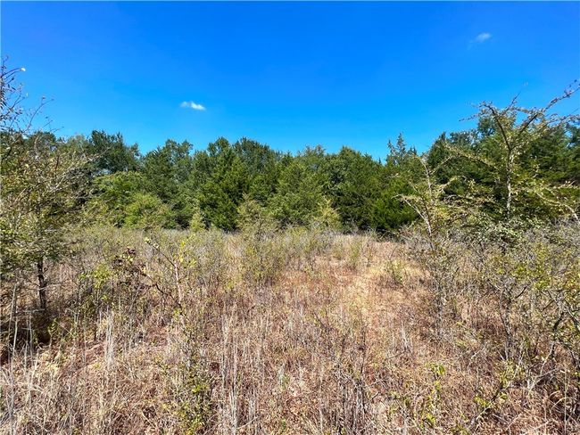 View of woods | Image 5