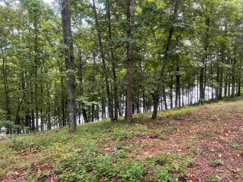 Lot 16 Quail Hollow Cv, Heber Springs, AR, 72543-9104 | Card Image