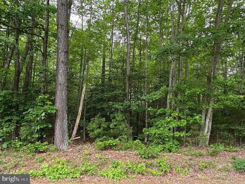 0 Bogey Neck Rd, Heathsville, VA, 22473 | Card Image