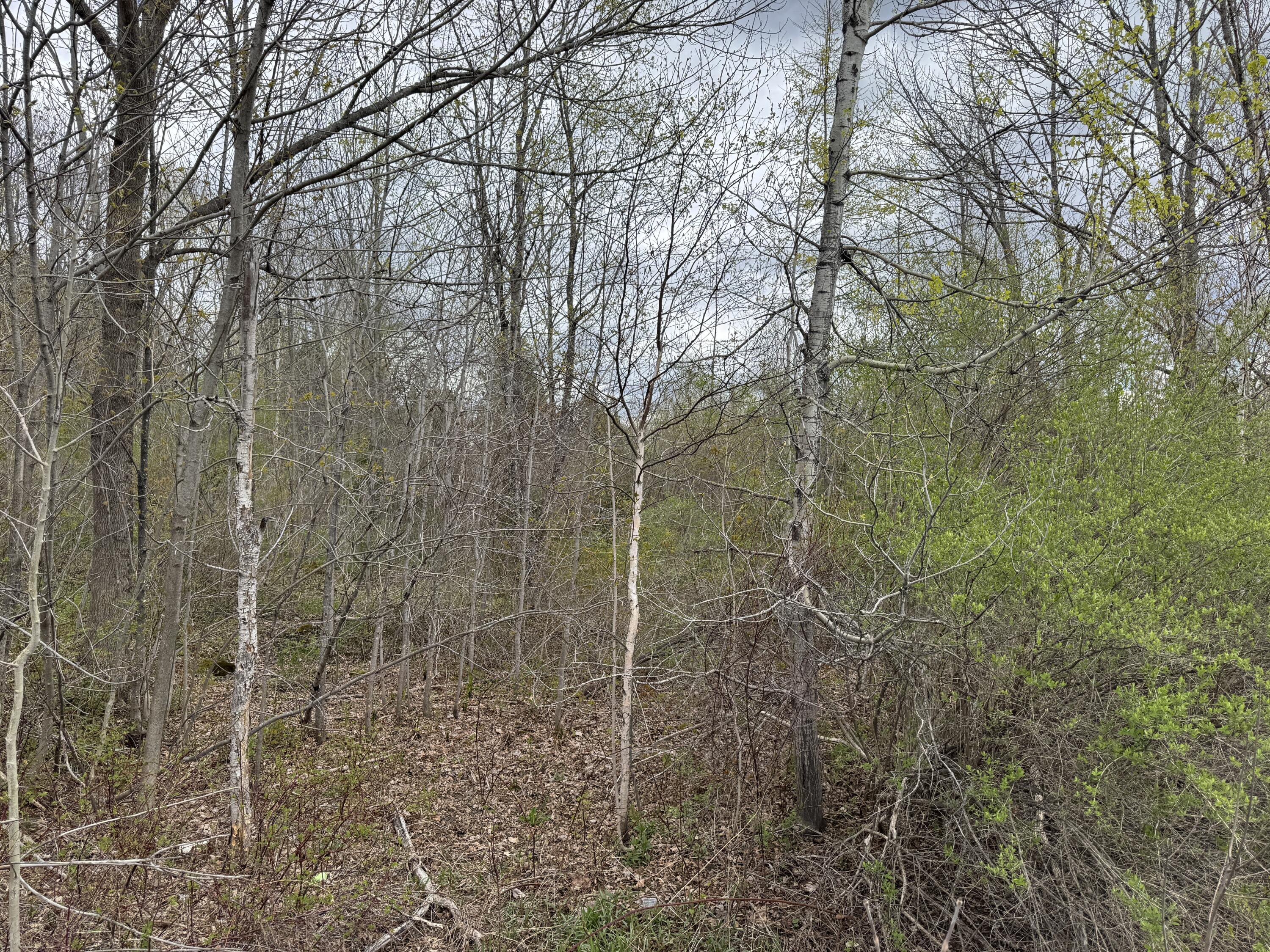 Land in Parkman 4