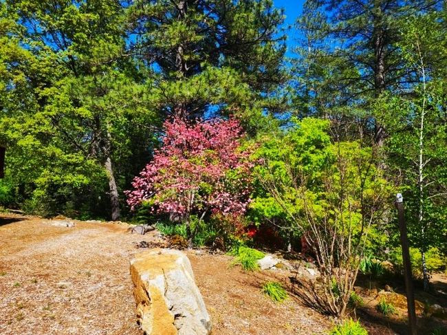 955 Grinding Rock Ct, House other with 3 bedrooms, 2 bathrooms and null parking in West Point CA | Image 58