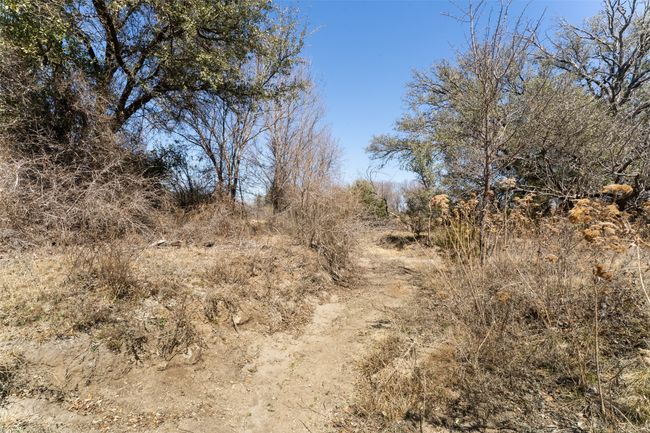 View of nature | Image 30