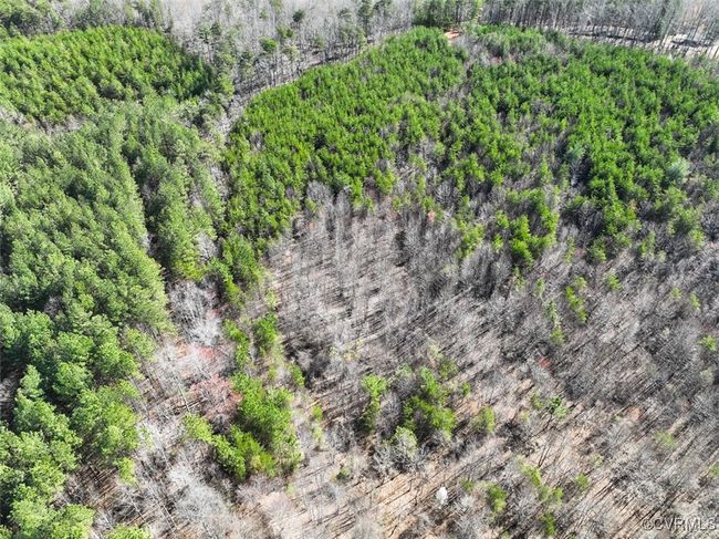 30.19 Acres (Off Of) Belvedere Dr, Home with 0 bedrooms, 0 bathrooms and null parking in Fieldale VA | Image 20